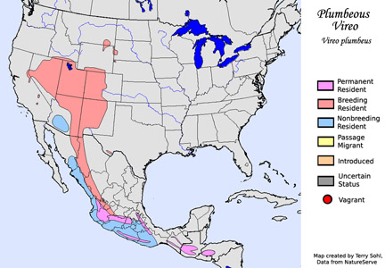 Plumbeous Vireo - Range Map
